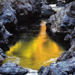Golden River Pool