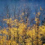 Autumn Aspens & Blue Lake Stars