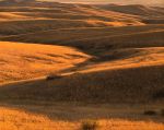 Sunset, Valley of the Little Bighorn