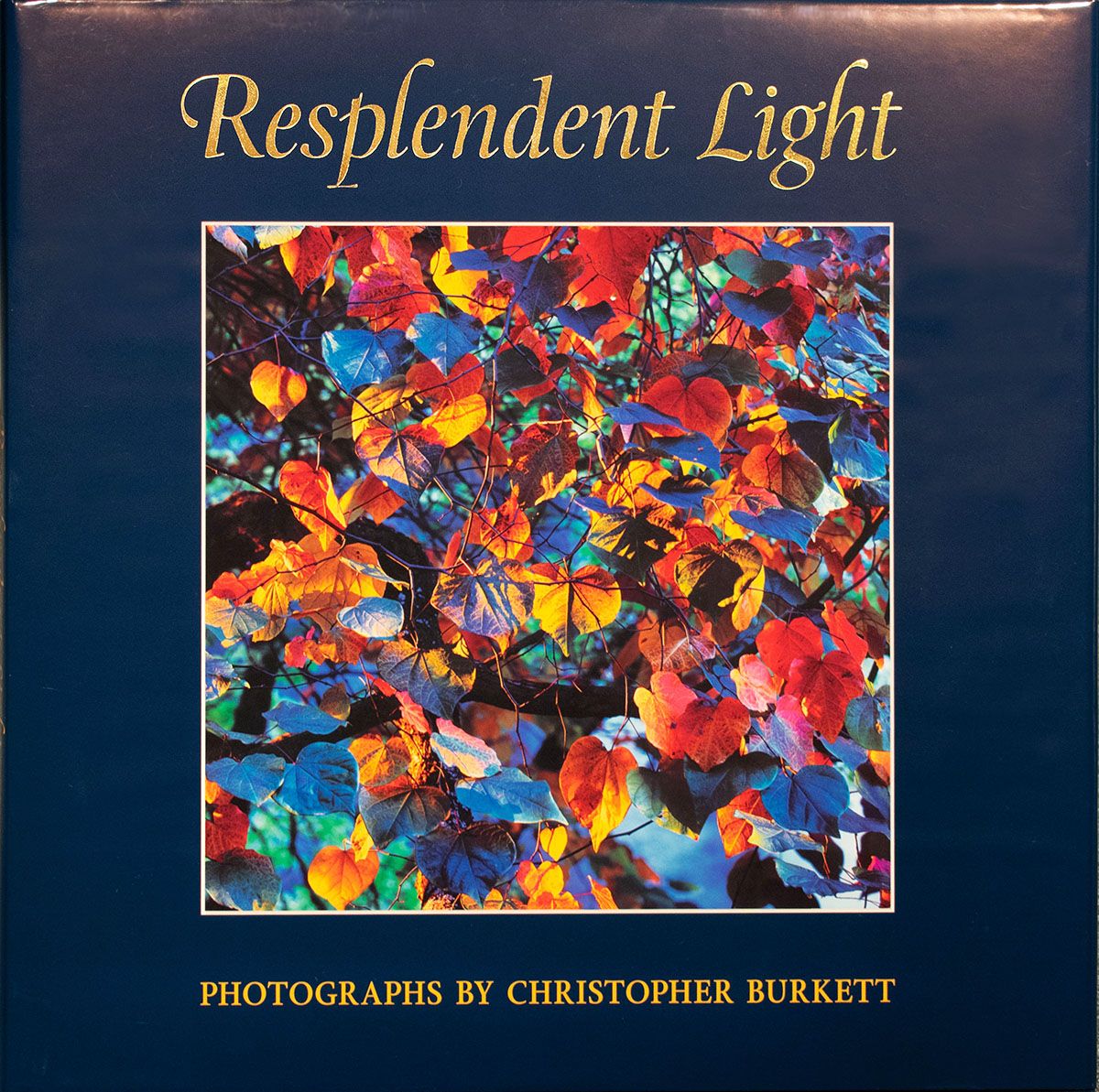 Resplendent Light Book